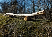 Monte Gugliemo dal sentiero nel Bosco degli Gnomi il 16 marzo 2013  - FOTOGALLERY